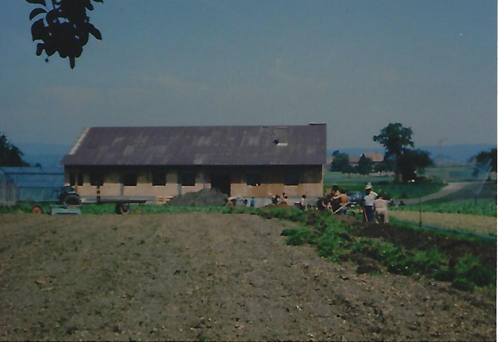 Fischmarkt Koch 1976