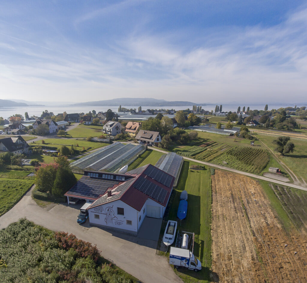 Fischmarkt Koch 2020